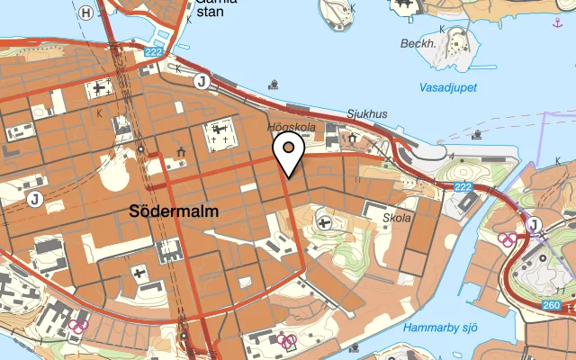 Karta som visar La Vecchia Signora på Åsögatan 163, 116 32 Stockholm