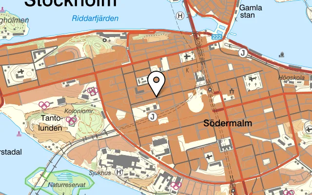Karta som visar Ricardos på Timmermansgatan 40, 118 55 Stockholm