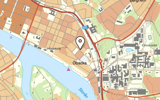 Karta som visar Svingen på Kungsgatan 133, 903 32 Umeå
