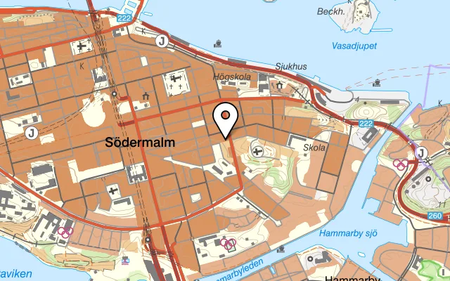 Karta som visar La Olita på Skånegatan 87, 116 37 Stockholm