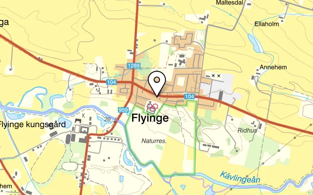 Karta som visar Robins Pizza & Grill på Holmbyvägen 18, 247 47 Flyinge