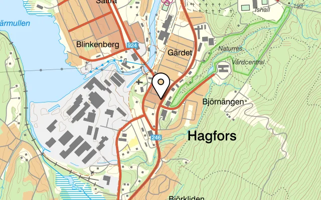 Karta som visar Coloseum på Trandaredsgatan 20, 507 62 Borås