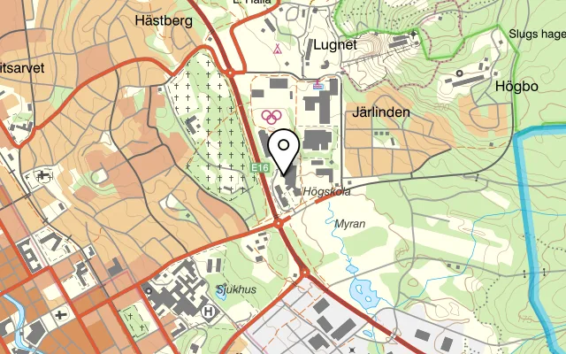 Karta som visar Vildgåsen på Högskolegatan 2, 791 31 Falun