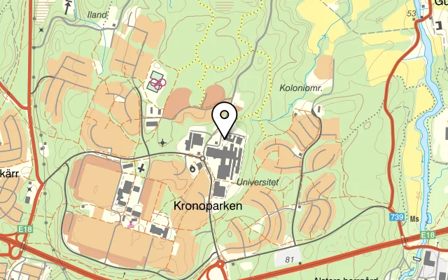 Karta som visar Café Elvan på Storgatan 11, 820 60 Delsbo