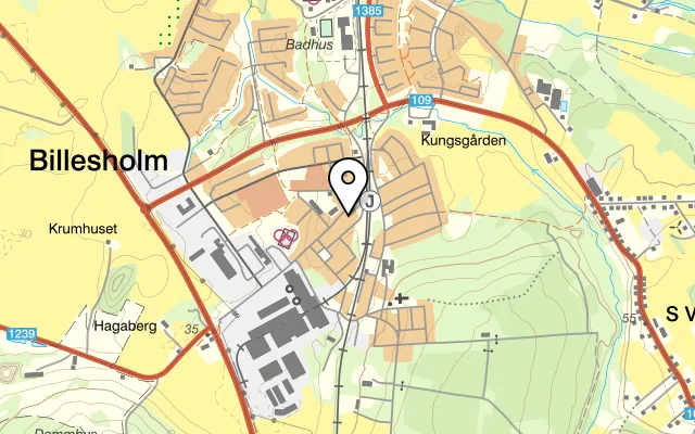 Karta som visar Billesholms Pizzeria på Storgatan 5, 267 72 Billesholm