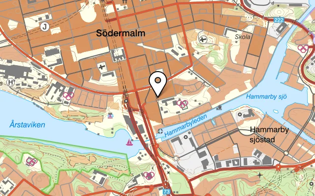 Karta som visar Oliven Due Pizzeria på Östgötagatan 95, 116 64 Stockholm