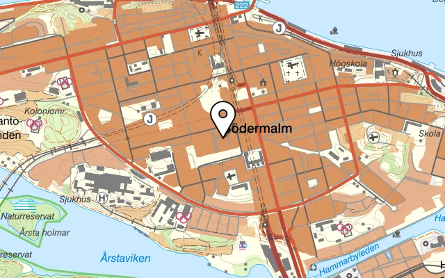 Karta som visar Tre Indier på Åsögatan 92, 118 29 Stockholm