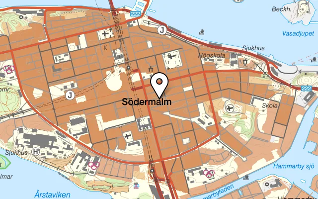 Karta som visar Bamboo Garden på Åsögatan 120, 116 24 Stockholm