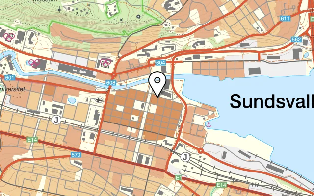 Karta som visar Zmak på Bankgatan 5, 852 31 Sundsvall