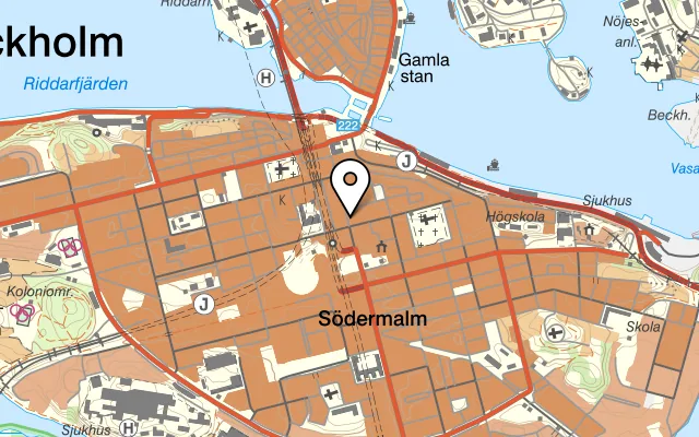 Karta som visar The Hills på Götgatan 29, 116 21 Stockholm